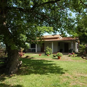 San Vincenzo Sovana